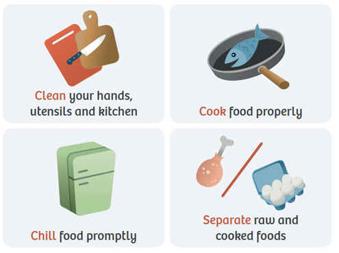 Summer Food Safety Guidelines