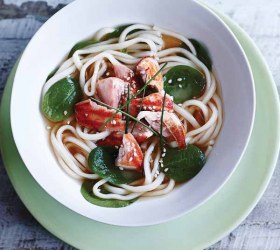 Japanese Noodle Broth with Salmon & Spinach