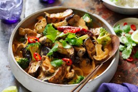 Red Thai Vegetable Curry - SHORTS