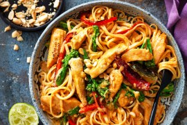 Red Thai Chicken Noodle Curry - SHORTS