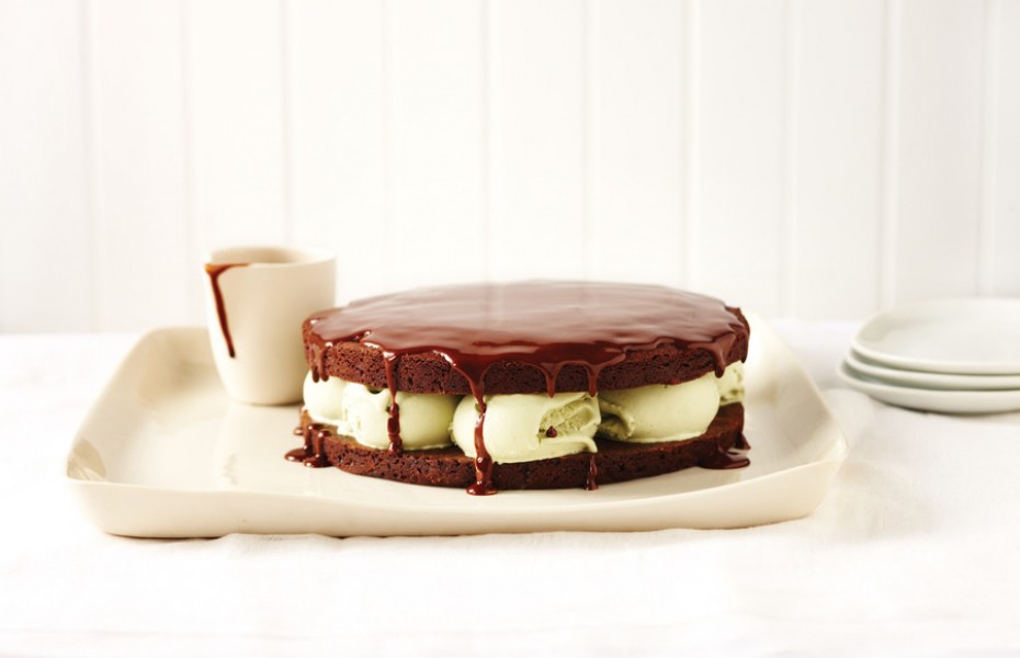 Chocolate and Pistachio Ice Cream Cake with Hot Chocolate Sauce