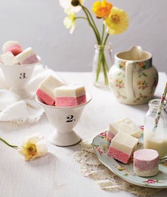 Lavender and Vanilla Coconut Ice recipe 