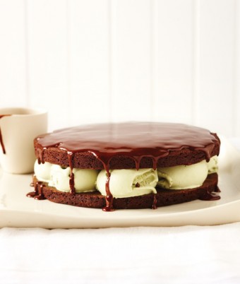 Chocolate and Pistachio Ice Cream Cake with Hot Chocolate Sauce