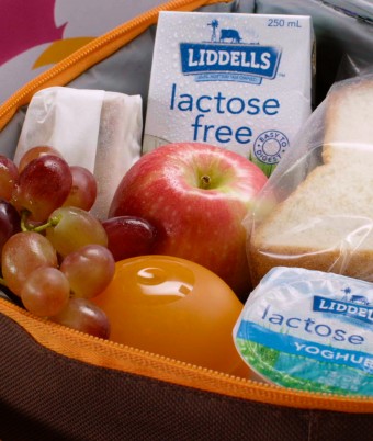 The Ultimate Kids Lunchbox - Chicken Sandwiches