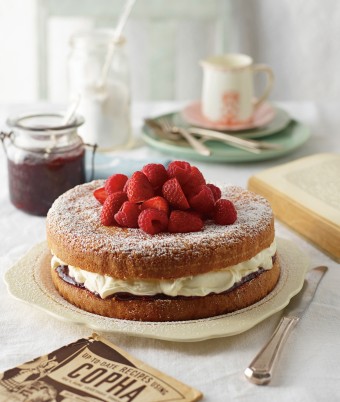 Jam and Cream Victorian Tea Cake