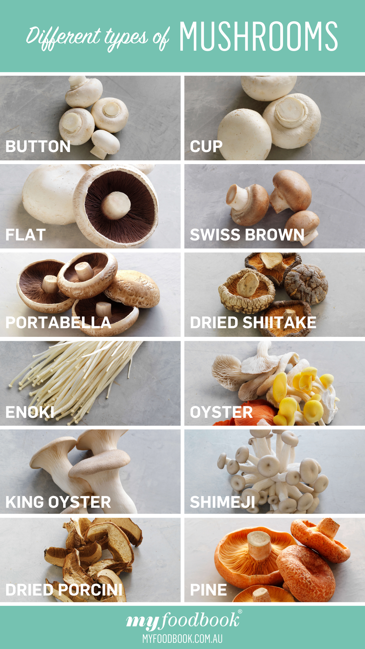 12 Different types of mushrooms