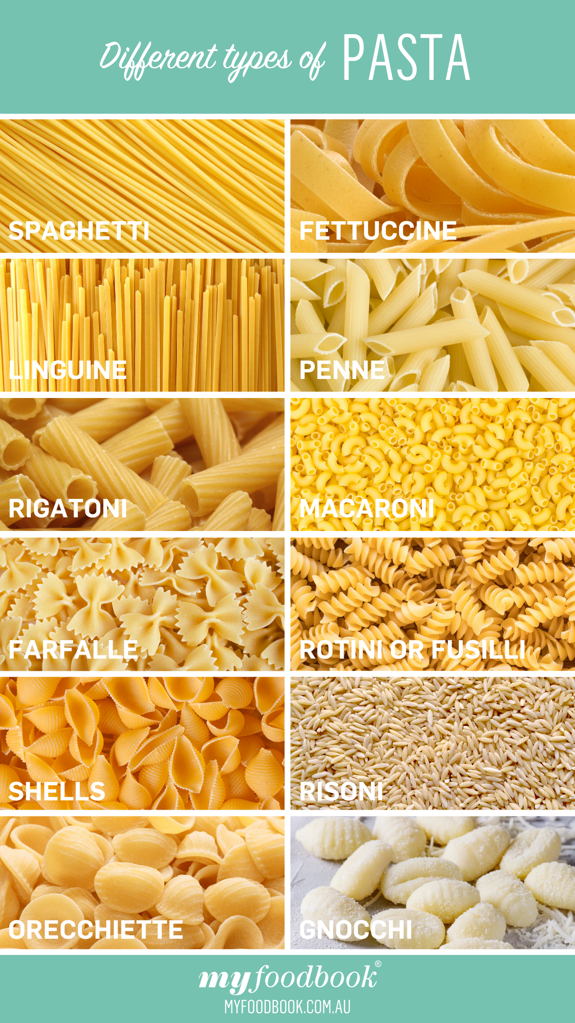 Different types of pasta