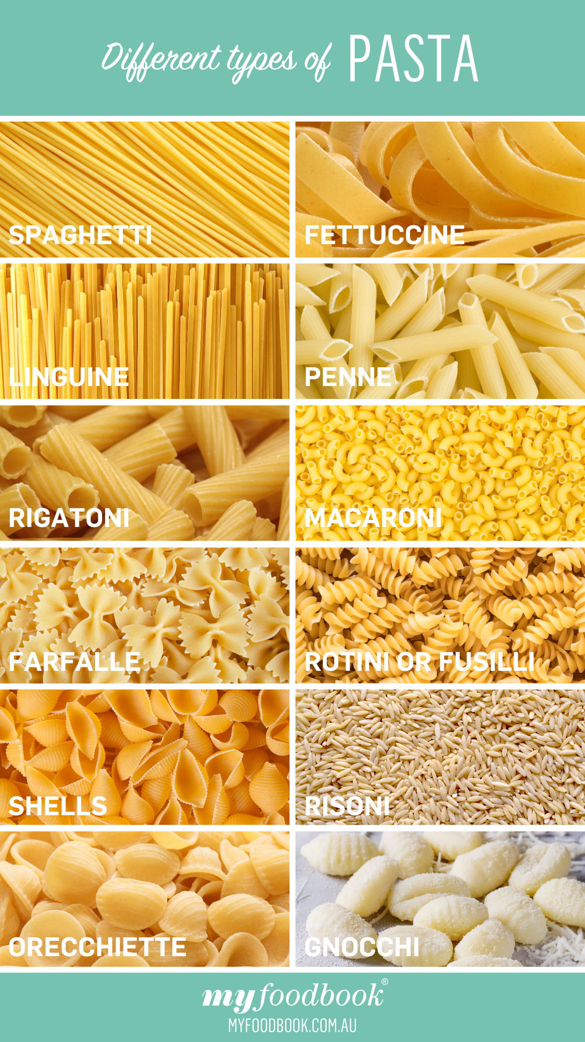 Types of Pasta Sauces: Ingredients, Differences, & More