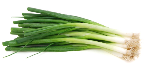 Green onions, green shallots, scallions