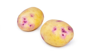 Kestral Potato