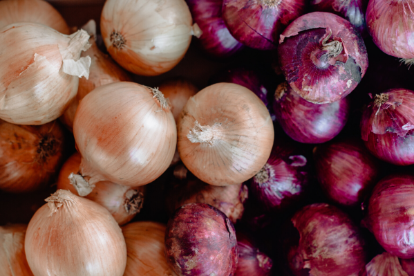 Close Up of Shallots or Red Spanish Onion Stock Image - Image of