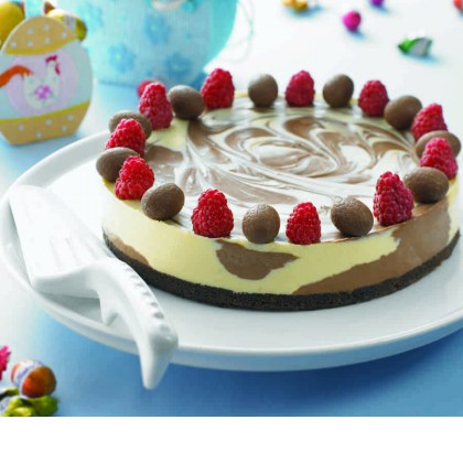 Dark and White Chocolate Cheesecake