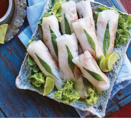 Duck Rice Paper Rolls with Asian Dipping Sauce