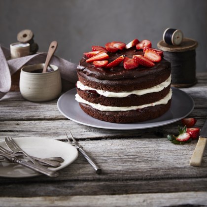 BLENDER EGGLESS CHOCOLATE CAKE - Professional Photographer