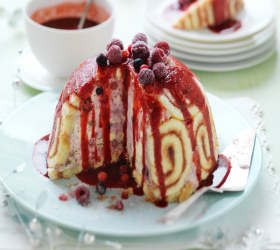Mixed Berry Ice-cream Pudding with Raspberry Coulis