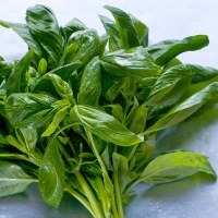 What to do with leftover herbs