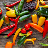 The different types of chillies