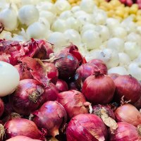 Types of onions: Red vs Brown vs White onions
