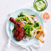Teriyaki Roast Chicken with Soba Noodles and Asian Greens