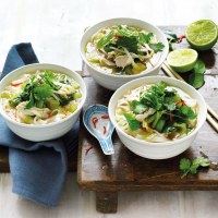 Hot and Sour Bok Choy, Chicken and Noodle Soup