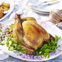 Stout-Glazed Chicken with Quinoa and Nut Stuffing