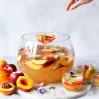 Cocktail Party Menu & Recipes