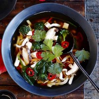 Vegetable & Tofu Udon Noodle Soup with Asian Flavours