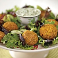 Spiced Chickpea Patties
