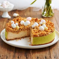 Baked Vanilla Spice Cheesecake with Coconut Topping