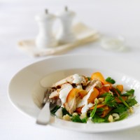 Persimmon and Herb Chicken Salad