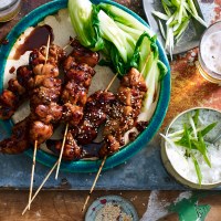 Chicken Pinoy Skewers with Rice