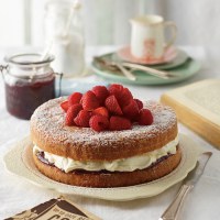 Jam and Cream Victorian Tea Cake