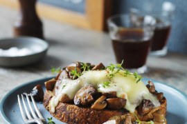 Mushrooms and Taleggio on Sourdough