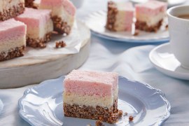 Coconut Ice Crackle Slice - SHORTS