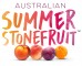 Layered Stonefruit Tart