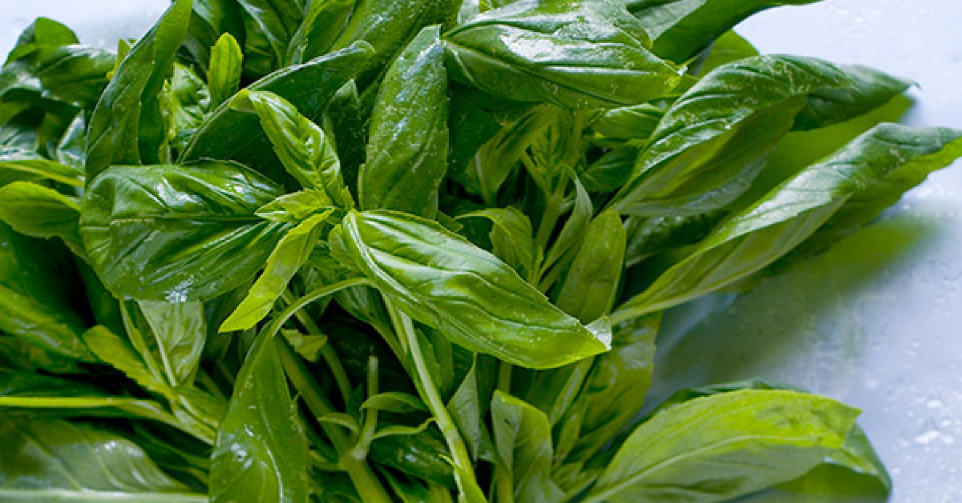 What to do with leftover herbs myfoodbook Three ways to preserve