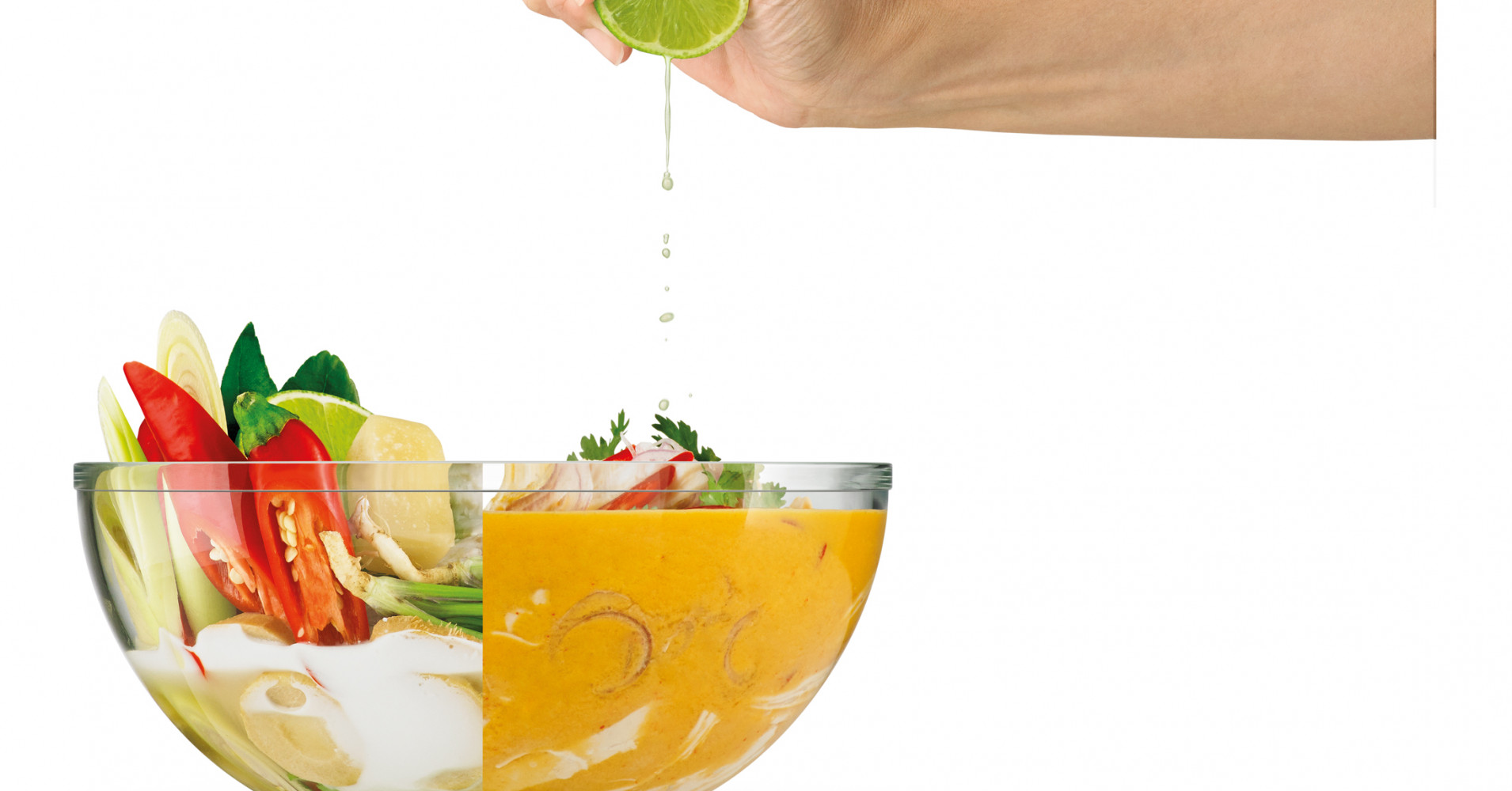 Tom Kha Gai | Breville Boss Recipes | myfoodbook