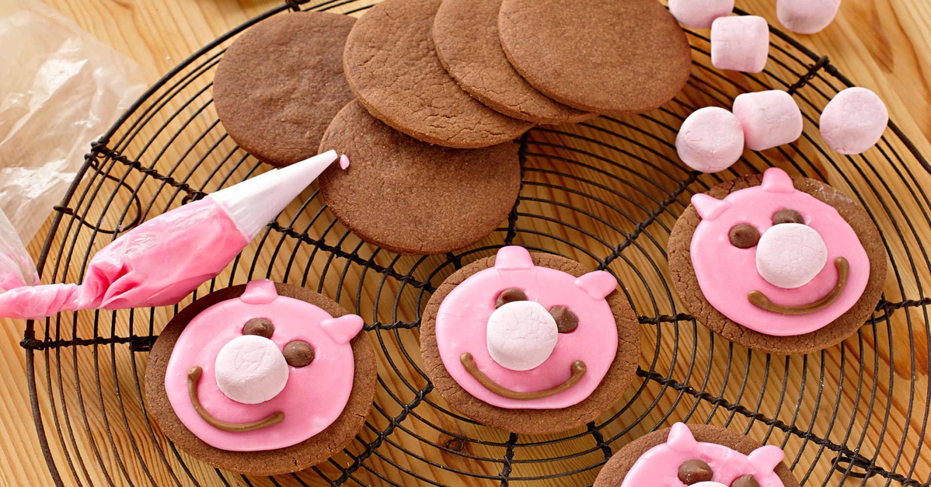 Chocolate Biscuit Recipe | myfoodbook