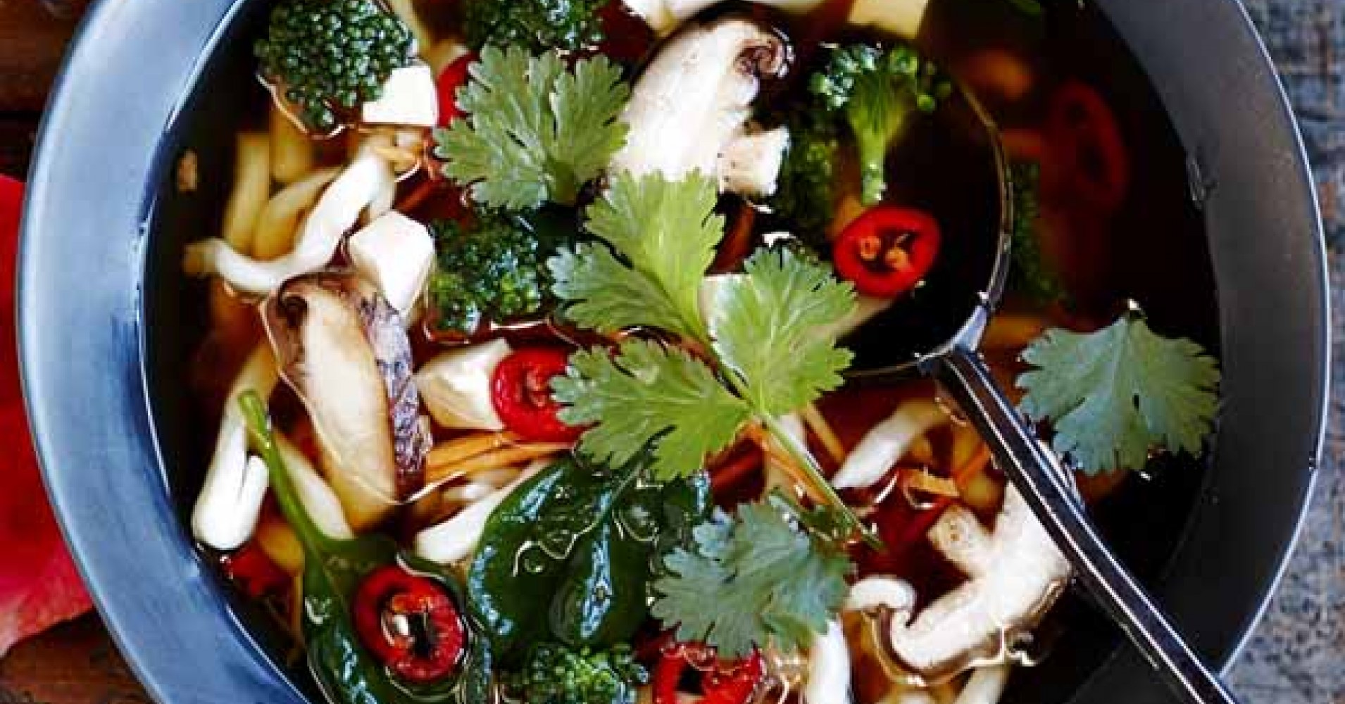 Vegetable & Tofu Udon Noodle Soup with Asian Flavours Recipe | myfoodbook