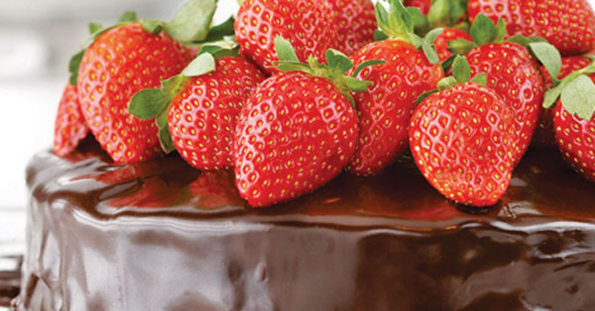 Chocolate Mud Cake Recipe | myfoodbook