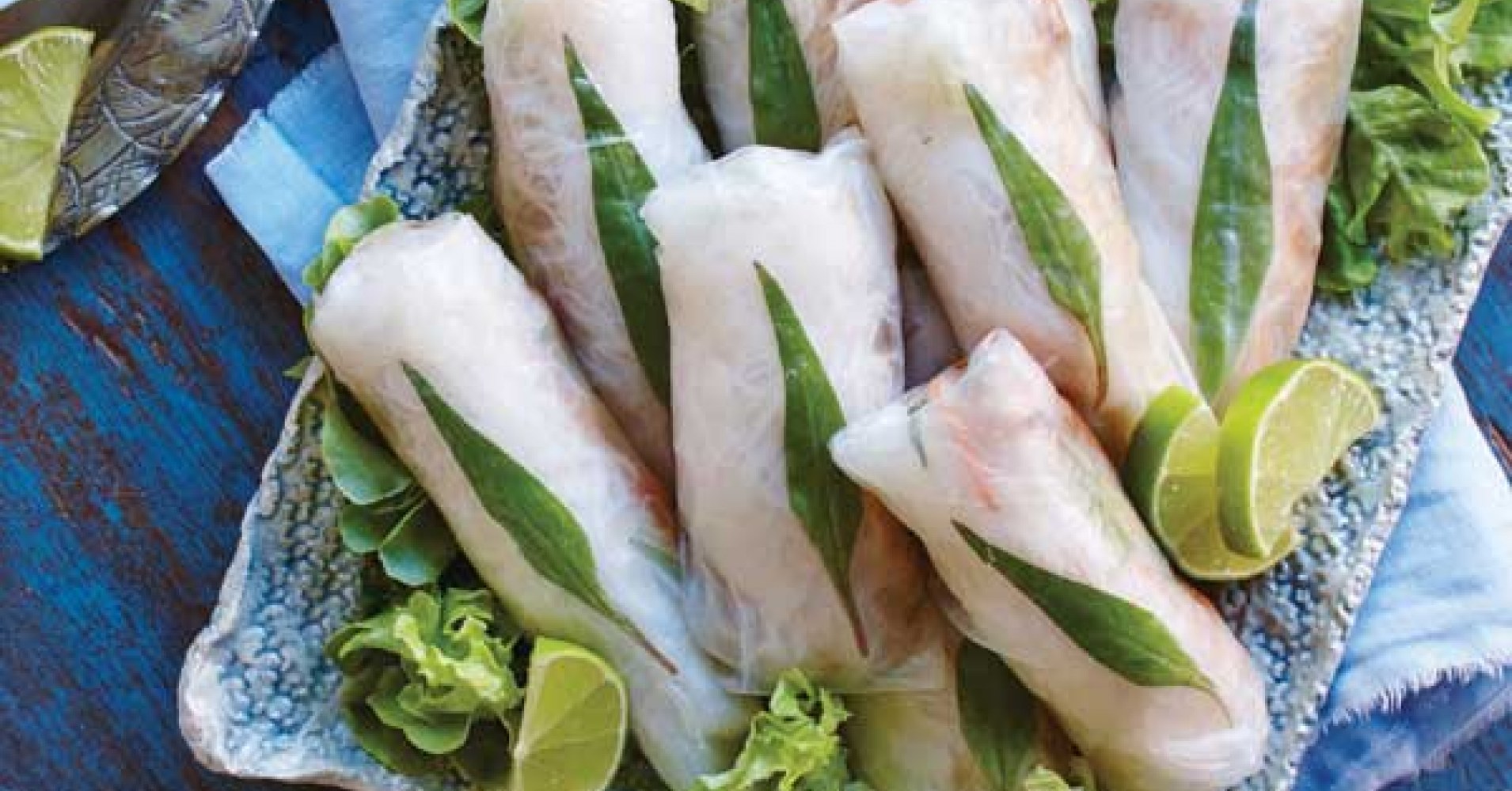 Duck Rice Paper Rolls with Asian Dipping Sauce Recipe myfoodbook