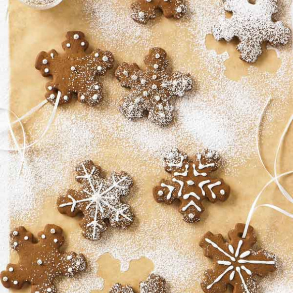 Gingerbread Recipe myfoodbook Breville Stand Mixer Recipes