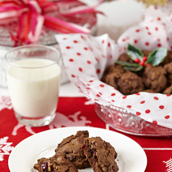 Chocolate and Cranberry Christmas Cookie recipe