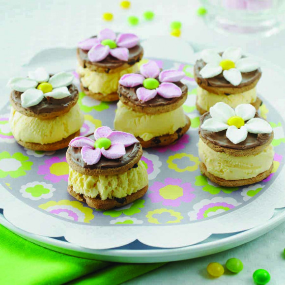 Chocolate and Marshmallow Ice Cream Sandwiches