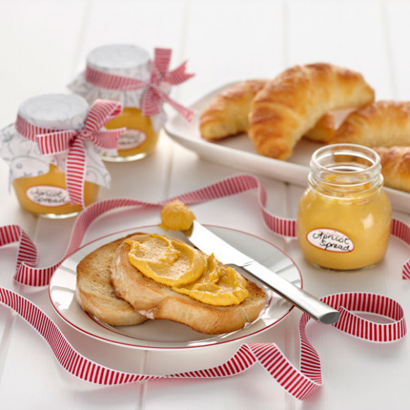 Apricot PHILLY Spread Recipe idea for Christmas
