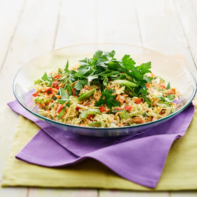 ZOOSH Best Ever Coleslaw Recipe myfoodbook Zoosh salad dressing recipes