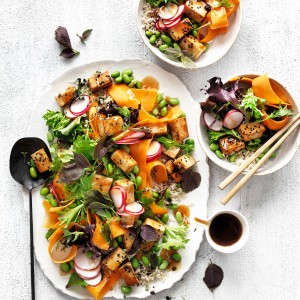 High-protein vegan teriyaki tofu salad recipe with fresh herbs