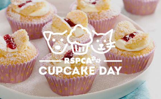 RSPCA Cupcake Day: Baking for a good claws